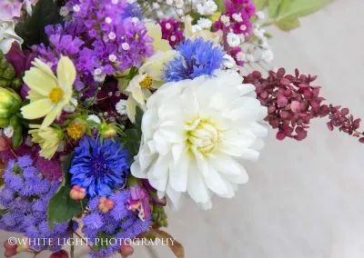 Alpaca weddings in Kent