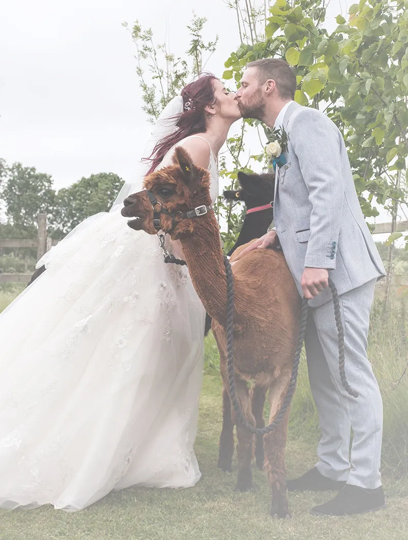 outdoor wedding venue in kent