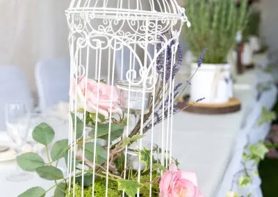 Alpaca weddings in Kent
