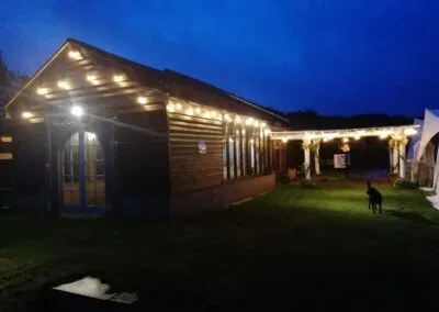 Alpaca weddings in Kent