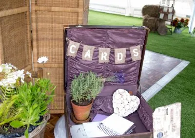 Alpaca weddings in Kent