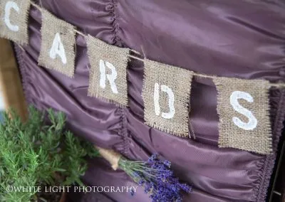 Alpaca weddings in Kent