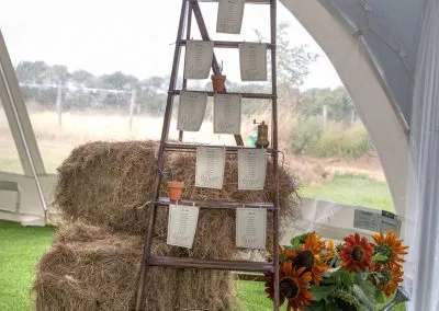 Alpaca weddings in Kent