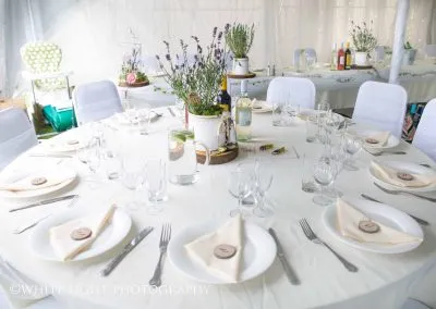Alpaca weddings in Kent